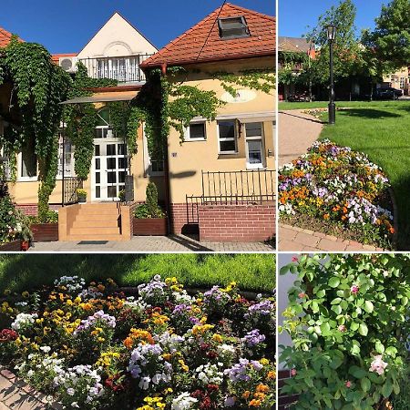 Tulipan Villa Panzio Сольнок Екстер'єр фото